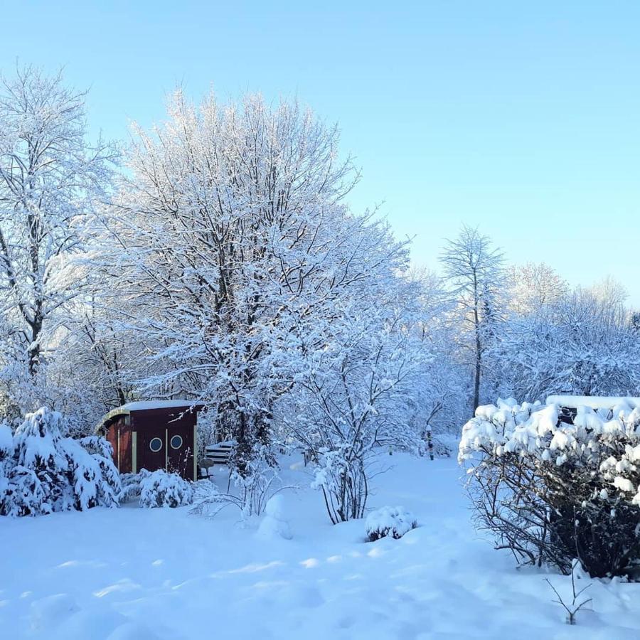 #staywild29 - Gemütliche Ferienwohnung im Allgäu Kempten  Exterior foto
